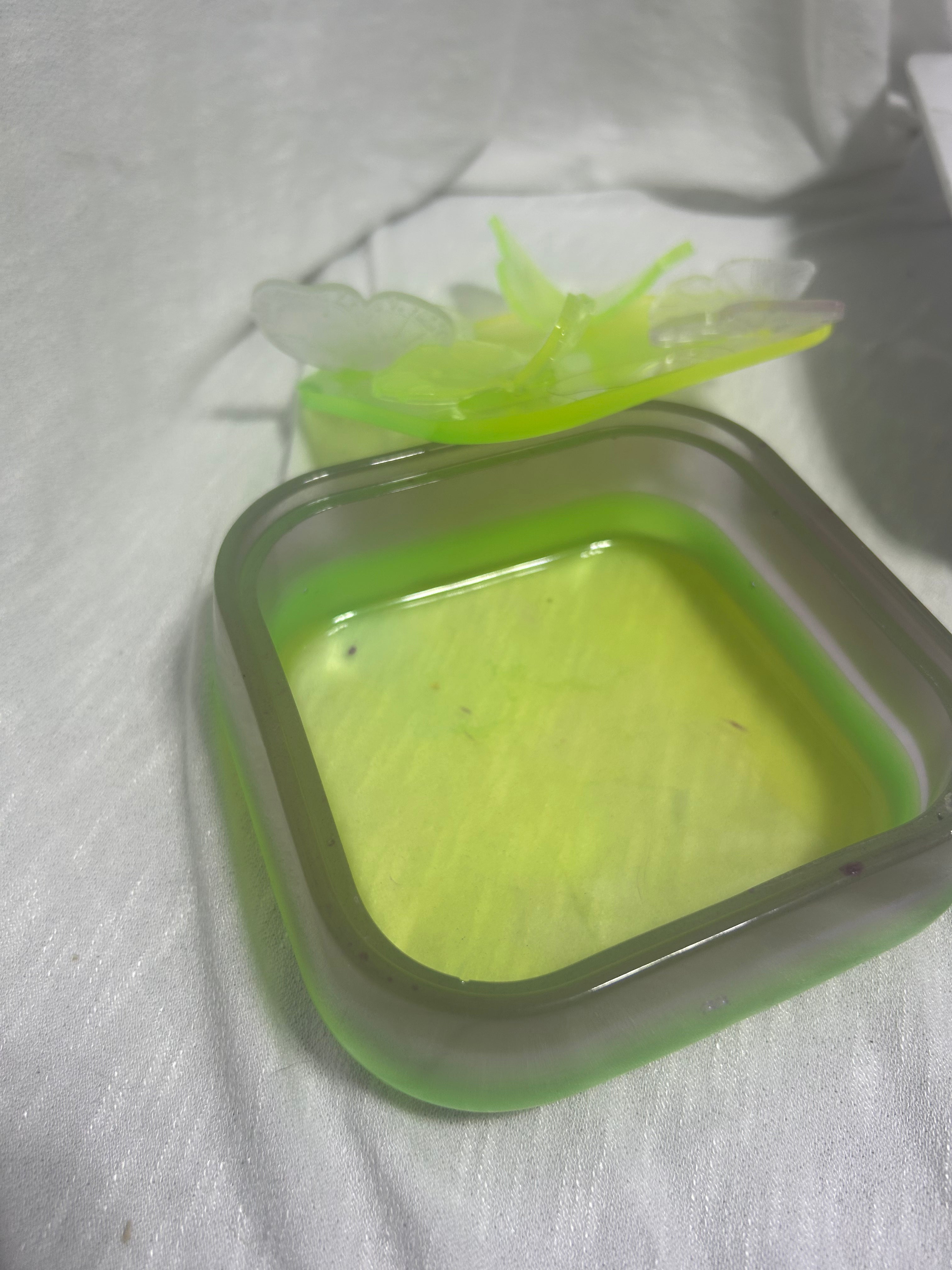 Glow in the dark butterfly container