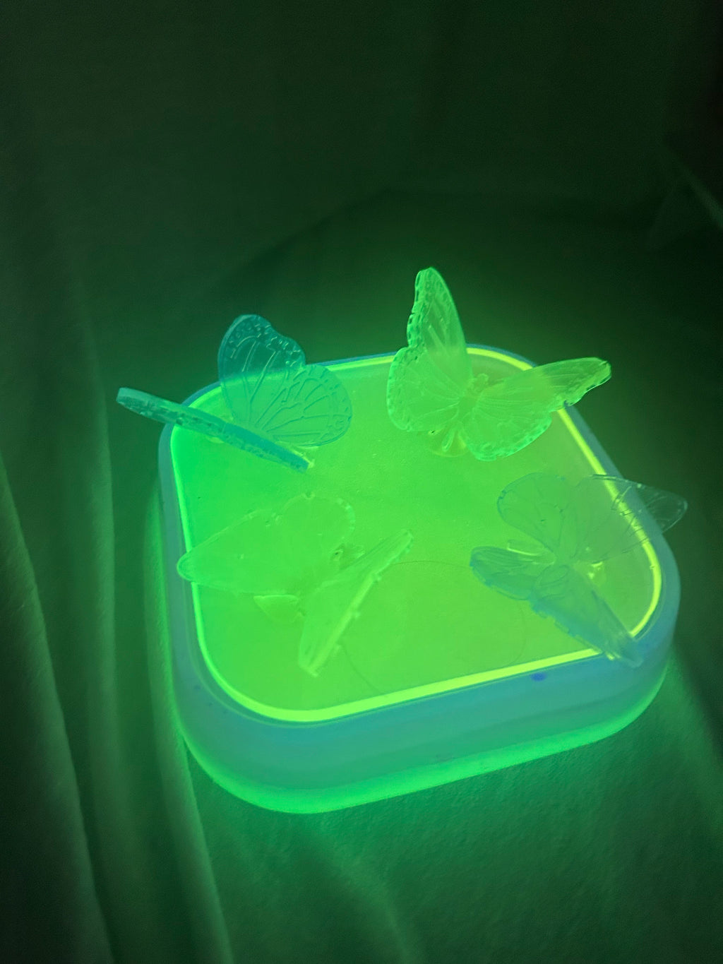 Glow in the dark butterfly container
