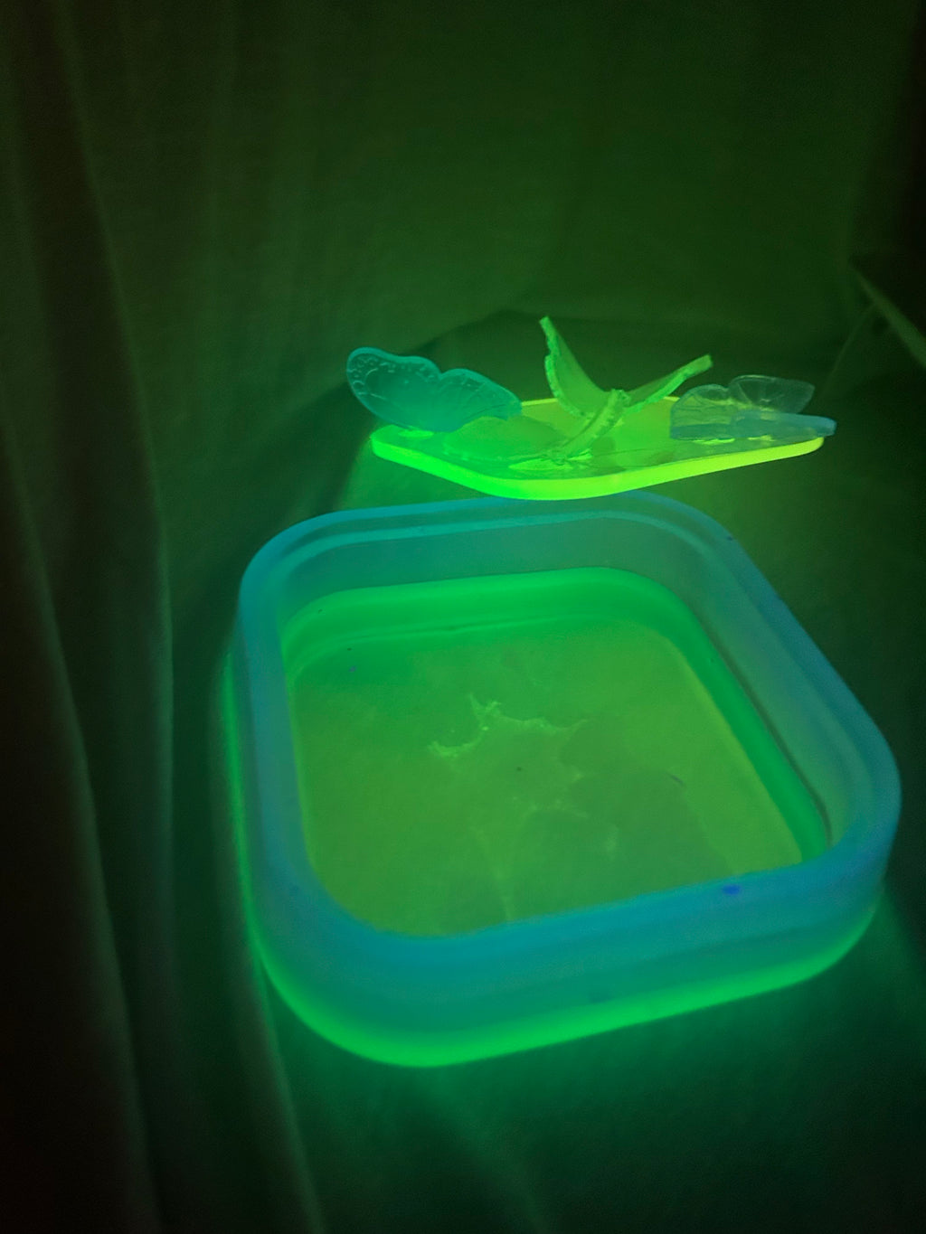 Glow in the dark butterfly container